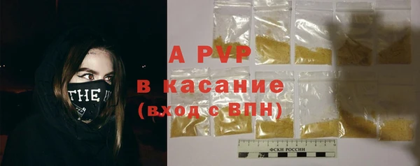 spice Ельня