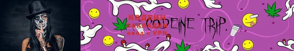 PSILOCYBIN Заводоуковск