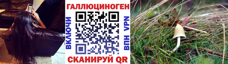 OMG сайт цена Новохопёрск Галлюциногенные грибы Magic Shrooms