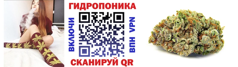 Конопля конопля Новохопёрск